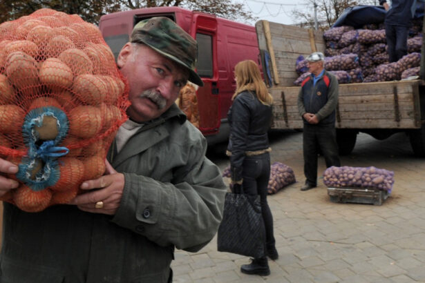 mafia cartofilor starneste furie in belarus cum a declansat lukasenko o criza agricola de care profita rusia 685e188680753