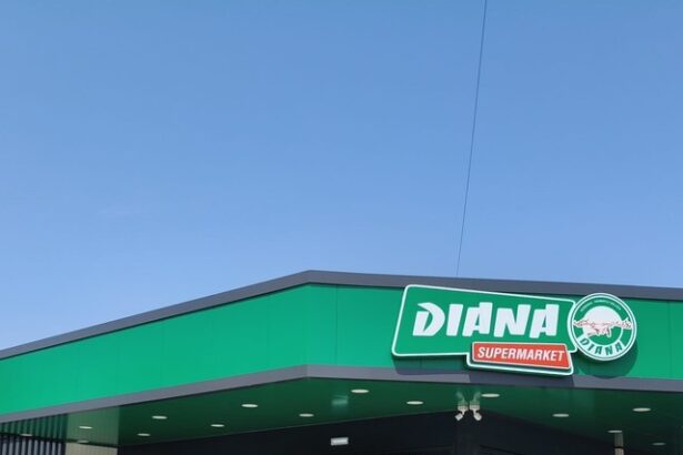 magazinele diana la cel mai bun nivel din istoria sa 68490590356f1