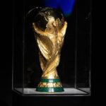 news alert out selectionerul a fost demis dupa ce calificarea la campionatul mondial a fost compromisa 685fd6d86e7ea