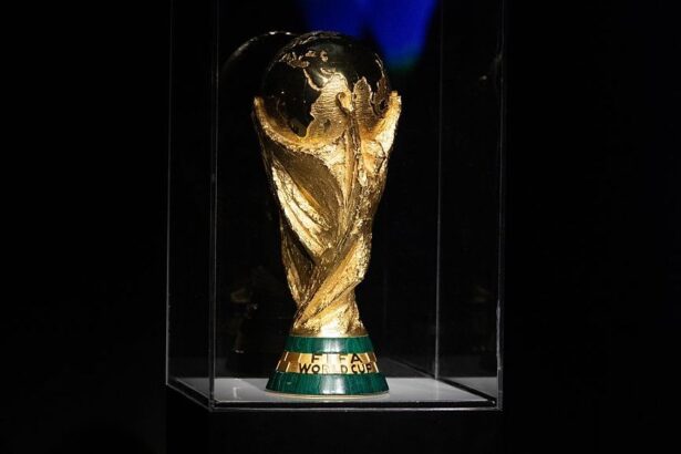 news alert out selectionerul a fost demis dupa ce calificarea la campionatul mondial a fost compromisa 685fd6d86e7ea