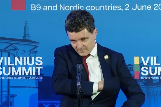 nicusor dan la summit ul nato apararea marii negre este esentiala pentru romania si republica moldova video 683dc70de37e5