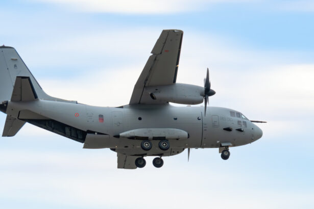 nicusor dan s a dus la vilnius cu un avion spartan al fortelor aeriene romane ce aeronave folosesc celelalte delegatii 683d66784bae9