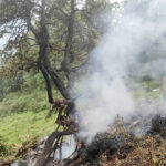 nou accident aviatic in india un elicopter cu pelerini hindusi s a prabusit iar toti pasagerii au murit 684e90fad05fd