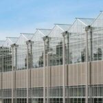 nou jucator richel group unul dintre liderii europeni in domeniu intra in romania 68475fb2dc18c