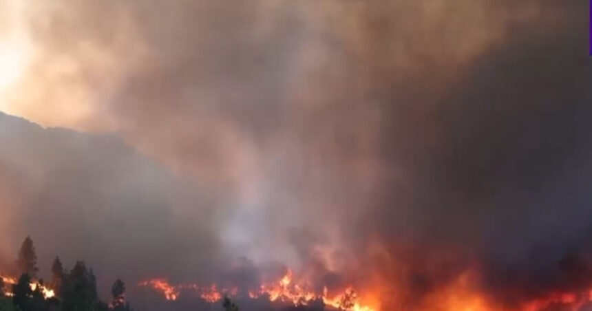 o menajera este acuzata ca a provocat unul dintre incendiile devastatoare din insula greceasca chios 685ce6f5391af