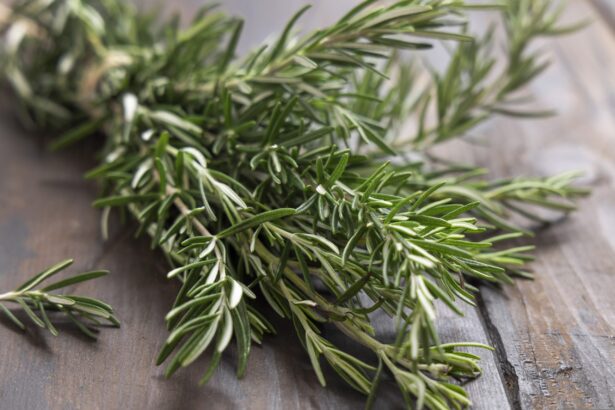 o planta aromatica foarte populara ne ar putea ajuta in lupta contra alzheimer 684996afe56dc