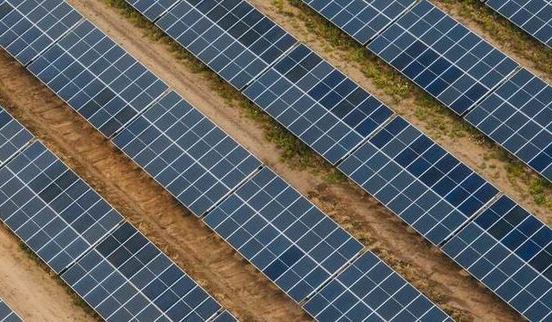 omv petrom cumpara actiuni la unul dintre cele mai mari proiecte fotovoltaice din bulgaria 685940f8ef96f