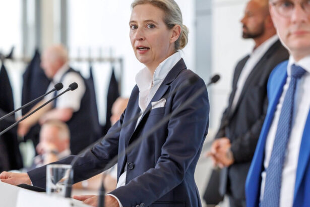 partidul afd adaposteste tot mai multi extremisti de dreapta anunta agentia de spionaj intern a germaniei 684823ad66556