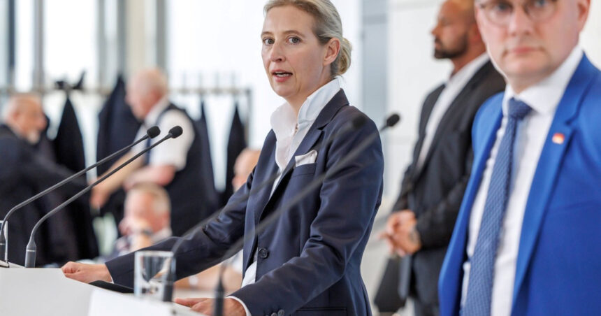 partidul afd adaposteste tot mai multi extremisti de dreapta anunta agentia de spionaj intern a germaniei 684823ad66556