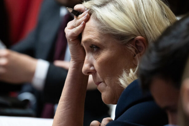 partidul lui marine le pen lidera extremei drepte franceze a refuzat sprijinul administratiei trump care a fost oferta sua reuters 685b75959f19c