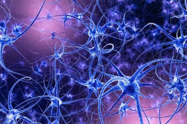 pentru prima data celule din afara creierului au prezentat semne de memorie si invatare 6846896e6b114