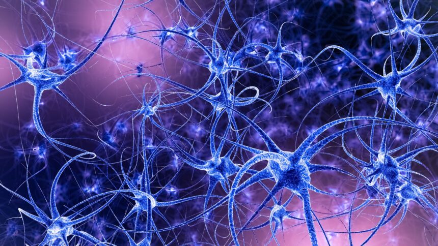 pentru prima data celule din afara creierului au prezentat semne de memorie si invatare 6846896e6b114