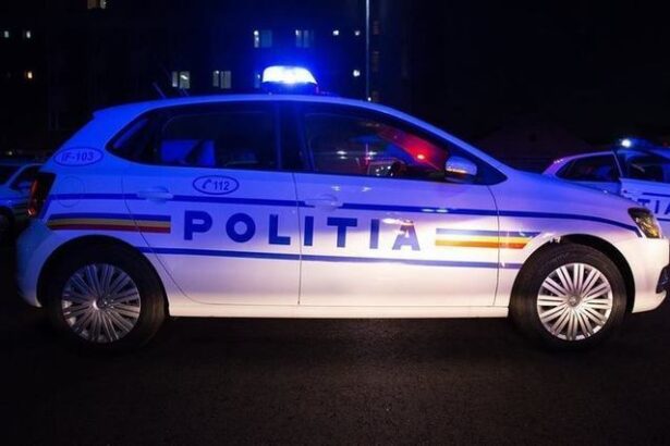 politia romana vrea sa cumpere medii de stocare bugetul depaseste 10 milioane de lei 6862190b4482d