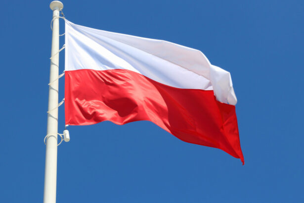 polonia se pregateste de razboi varsovia anunta un plan de evacuare a operelor de arta in caz de conflict 685934f875a29