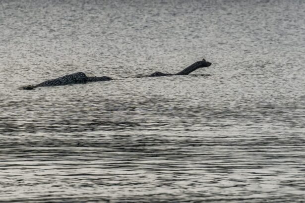 povestea monstrului din loch ness 6846ebda256a3