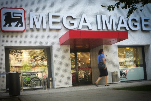 profi si mega image acum sub aceeasi umbrela a ahold delhaize urca vanzarile in romania 683d989c607a7