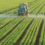 randamentele agricole mondiale vor scadea cu procente cuprinse intre 11 si 24 pana in 2100 6853c9cc410e0