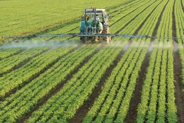 randamentele agricole mondiale vor scadea cu procente cuprinse intre 11 si 24 pana in 2100 6853c9cc410e0