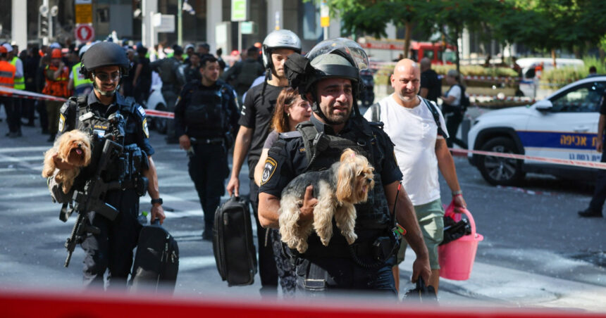 România permite intrarea animalelor de companie din Israel fără vaccin sau microcip, pe baza unui formular 1 romania permite intrarea animalelor de companie din israel chiar si fara vaccin sau microcip in baza unui formular 685abc3136c5e