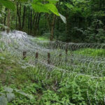 rusia a concentrat 50 000 de militari in jurul sumi punand ucraina in dificultate wall street journal 6862afc73136f