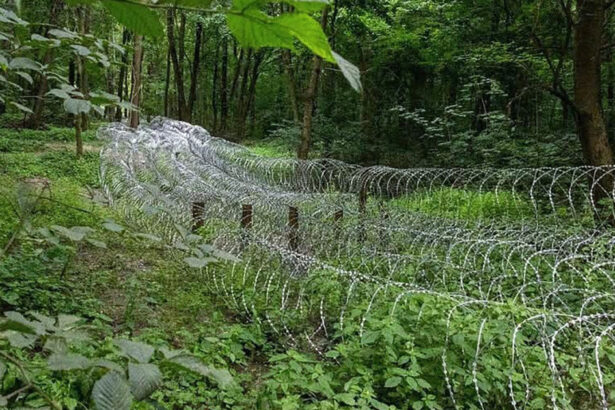 rusia a concentrat 50 000 de militari in jurul sumi punand ucraina in dificultate wall street journal 6862afc73136f