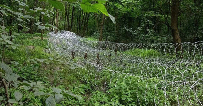 rusia a concentrat 50 000 de militari in jurul sumi punand ucraina in dificultate wall street journal 6862afc73136f
