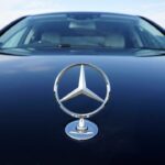 seful mercedes sugereaza ca poate media negocierile dintre ue si trump pe tema taxelor vamale 6841cfd45fece