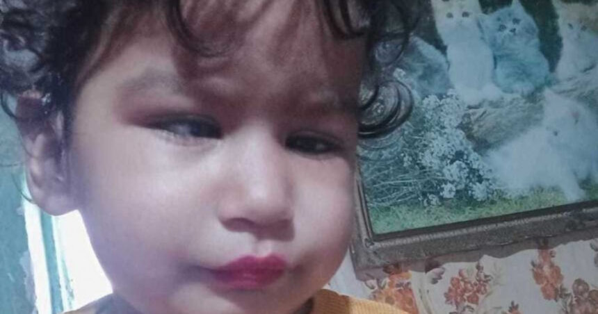 sentinta in cazul raisei fetita de 2 ani ucisa in comuna breasta criminalul a primit 15 ani de detentie intr un centru de minori 685a871e05711