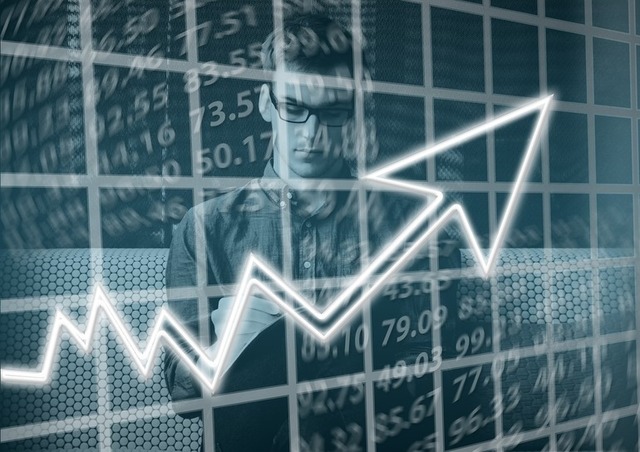sii romania in 2024 afaceri si profit net in crestere 685e24b7d0671