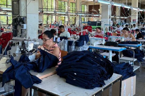 siva uniforms estimeaza afaceri de 4 milioane de euro in acest an si vizeaza piata uniformelor scolare 685ba83fd8397