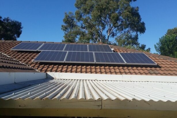 transelectrica prosumatorii nu platesc tarife de transport pe energia injectata in retele 683eaac4e0923