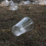 ultima ora consumul bauturilor alcoolice permis pe stadioane la toate evenimentele sportive 685bc4613b4ee