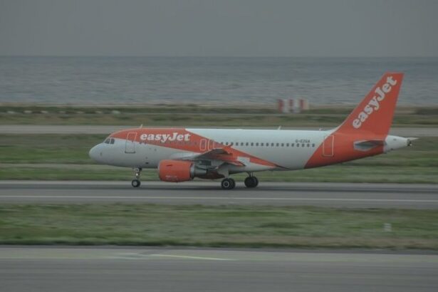 un avion care zbura de la budapesta la lyon a aterizat de urgenta in austria dupa ce in cabina pilotilor a aparut fum 6847c58fc2ba7