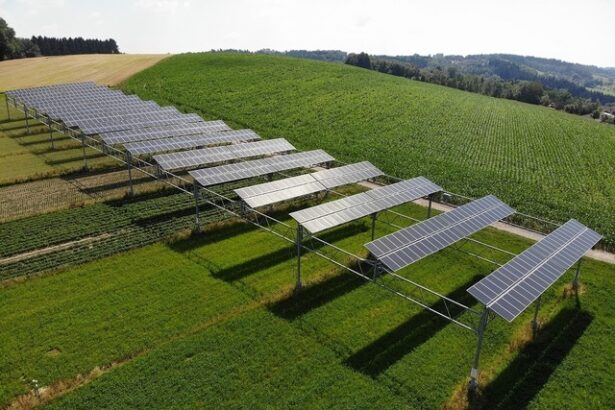 un grup spaniol va construi un parc agrofotovoltaic in judetul iasi 6862200c9fe67