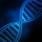 un model revolutionar de inteligenta artificiala citeste mutatiile adn ului si prezice consecintele moleculare 685e4c4733ee6