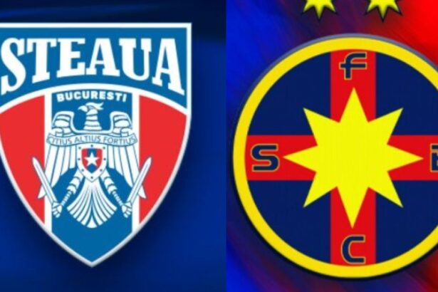 video avocatul fcsb ului enervat la culme cati iti vin la meci 300 de insi alt fraier nu mai gasesc 685c1e176e946