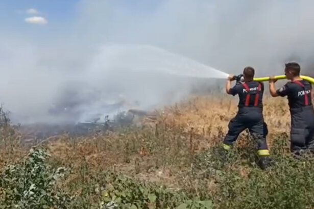 video care sunt cele mai expuse judete la incendiile de vegetatie si cum vor fi monitorizate de autoritati 684fd755d6b8b