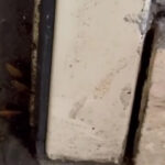 video comisarii anpc au controlat din nou restaurantul chinezesc dintr un mall al capitalei gandaci produse expirate si pereti murdari 6857810da666d