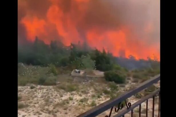 video incendii masive de padure in turcia 686277ff73021