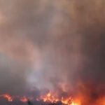 video incendiile de vegetatie fac ravagii in insula greceasca chios sute de oameni au fost evacuati 6858fd0979302