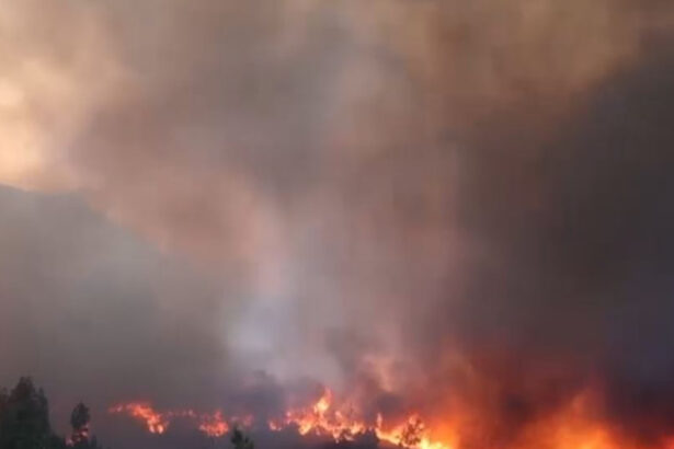 video incendiile de vegetatie fac ravagii in insula greceasca chios sute de oameni au fost evacuati 6858fd0979302