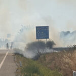 video incendiu puternic de vegetatie la maglavit in dolj pe o suprafata de 70 80 hectare traficul rutier a fost deviat 685d68d28ae64