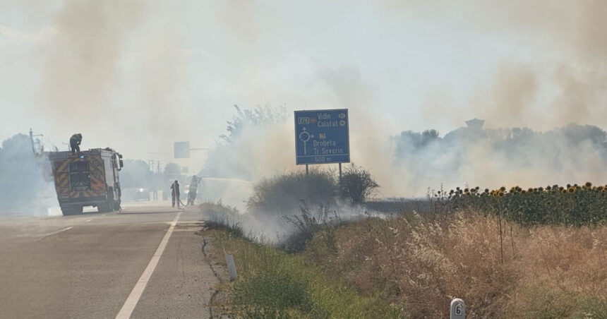 video incendiu puternic de vegetatie la maglavit in dolj pe o suprafata de 70 80 hectare traficul rutier a fost deviat 685d68d28ae64