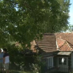 video inteligenta artificiala supusa la teste de catre satenii romani reactiile celor din mediul rural la raspunsurile ai 6849a9bb64752