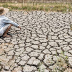 video planeta va depasi in trei ani pragul incalzirii globale de 15 grade celsius avertizeaza oamenii de stiinta 6853e4bb048d1