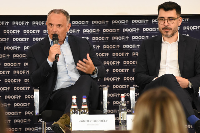 video profit ro piata de capital forum karoly borbely presedinte directorat hidroelectrica avem 10 000 11 000 de cereri de contracte de furnizare de energie de la potentiali clien 684aab5ca82c4