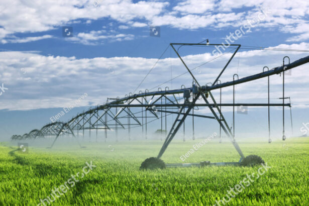 video propunerile lui nicusor dan pentru agricultura sisteme de imprumuturi si de asigurari specifice iar statul sa investeasca in irigatii 6841a1fa20c3b