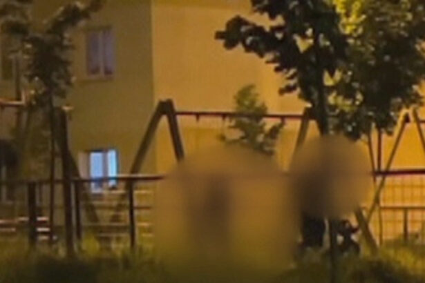 video scene socante intr un parc din brasov femeie batuta de sot in timp ce copilul plange in leagan agresorul a fost retinut 68465d927c317
