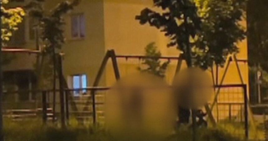 video scene socante intr un parc din brasov femeie batuta de sot in timp ce copilul plange in leagan agresorul a fost retinut 68465d927c317