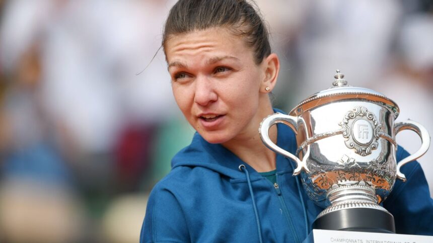 video simona halep spectatoare vip la meciul vedetelor cu ronaldinho si mutu pro arena si voyo ce a donat primariei din cluj 684bf7b8545fe